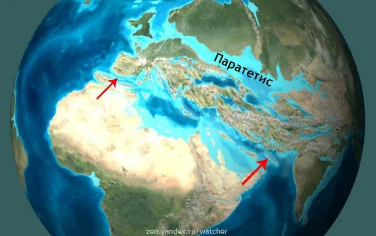 Столкновение континентов (красные стрелки) породило протяженную систему горных цепей и отделило море Паратетис от открытого океана.