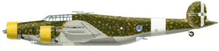     Итальянский средний бомбардировщик CANT Z.1007 Alcione. Название переводится как «Зимородок».