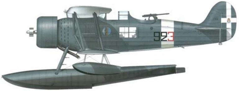     Итальянский поплавковый разведчик IMAM Ro.43. Этот самолёт создавался как корабельный разведчик, но использовался в качестве истребителя.