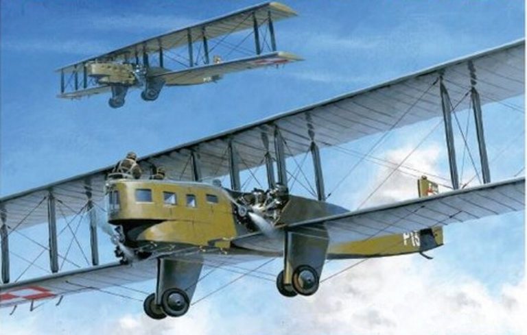 Самые удивительные творения польских авиаконструкторов перед Второй Мировой войной
