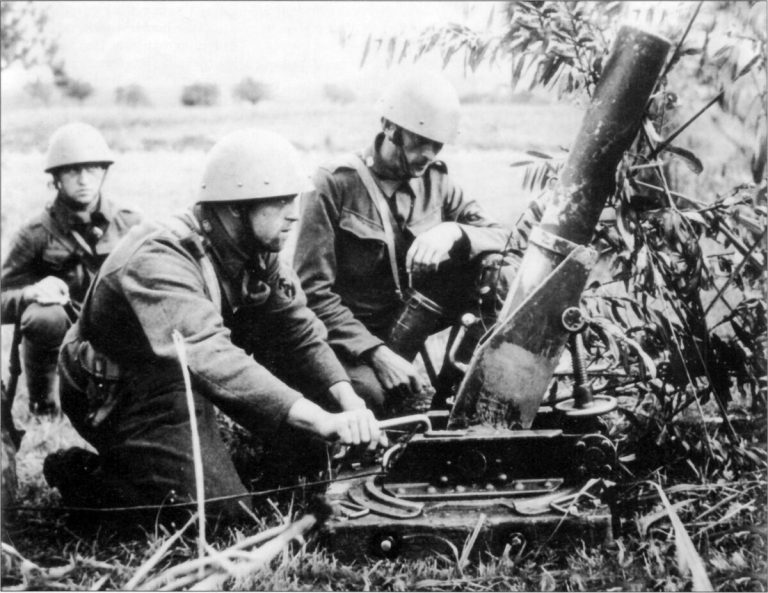     Миномёт 9 cm lehký minomet vz.17. Калибр — 91,5 мм, масса орудия — 130 кг, масса снаряда — 5,75 кг, дальнобойность — 1200 м. В 1938 году имелось 212 миномётов.