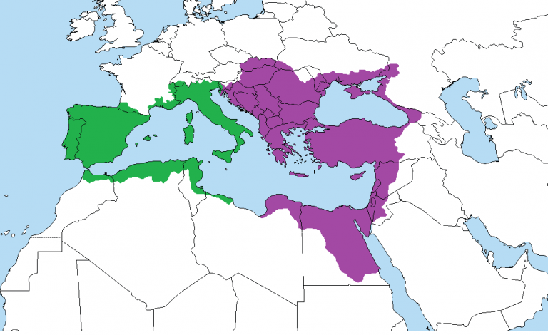  Карта Средиземноморья в начале 4 века