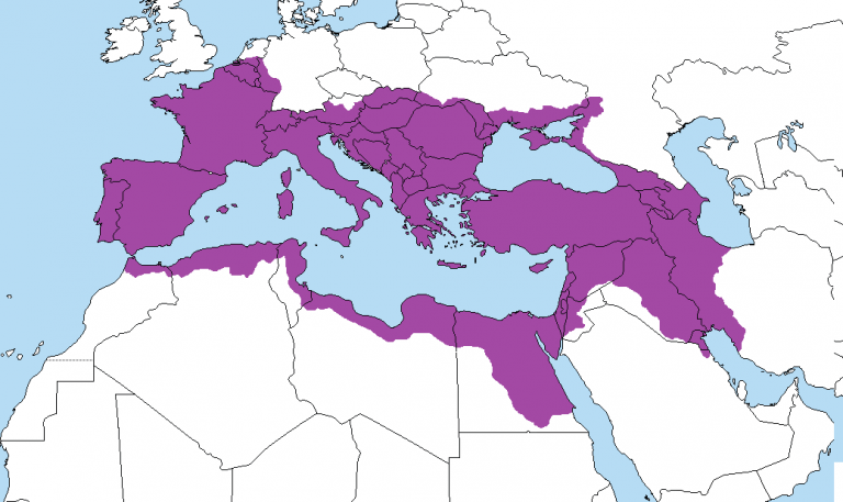 Византийская Империя в период её максимального расширения