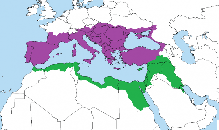 Карта мира в конце 3 века