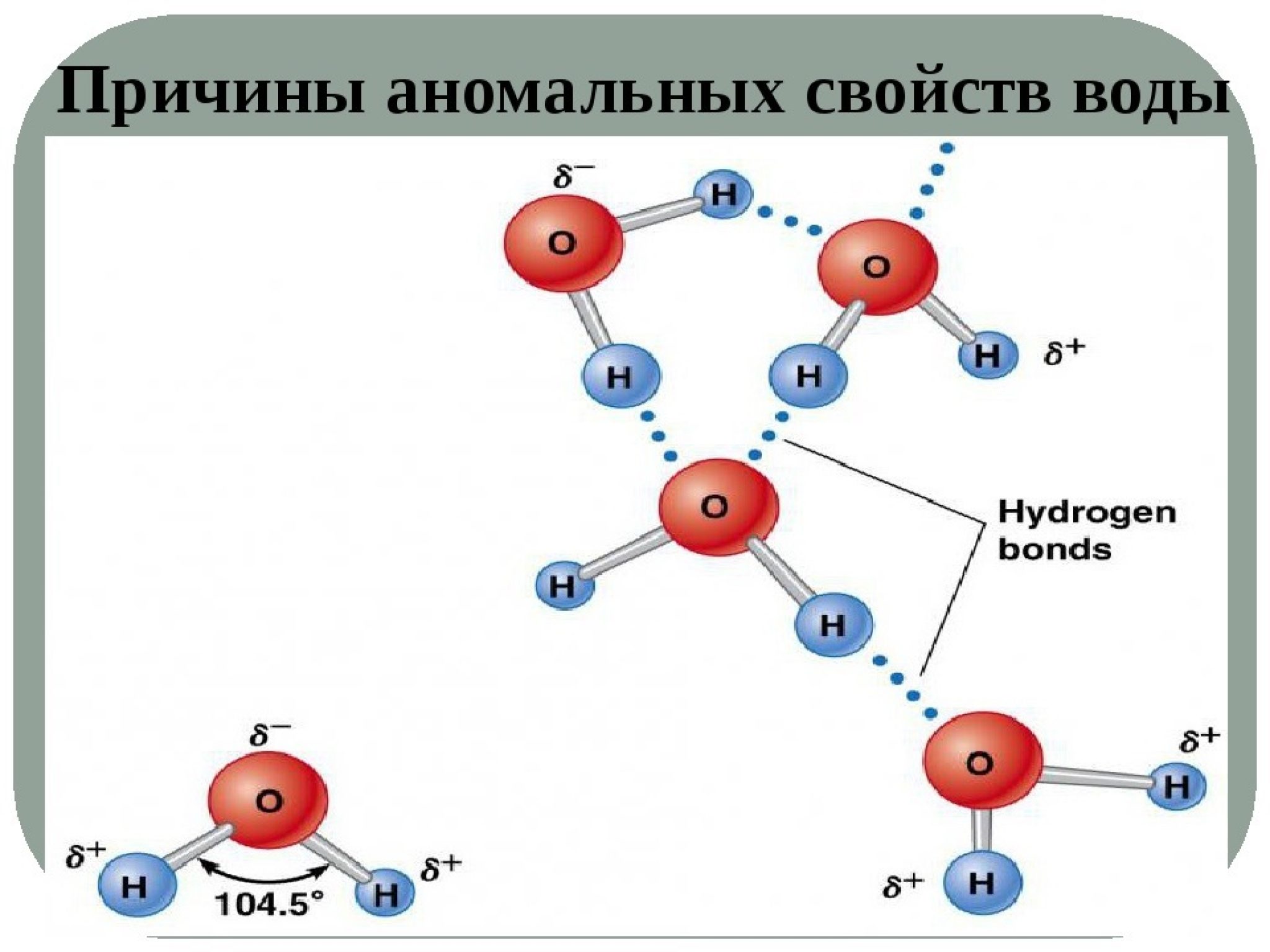 Презентация аномальные свойства воды