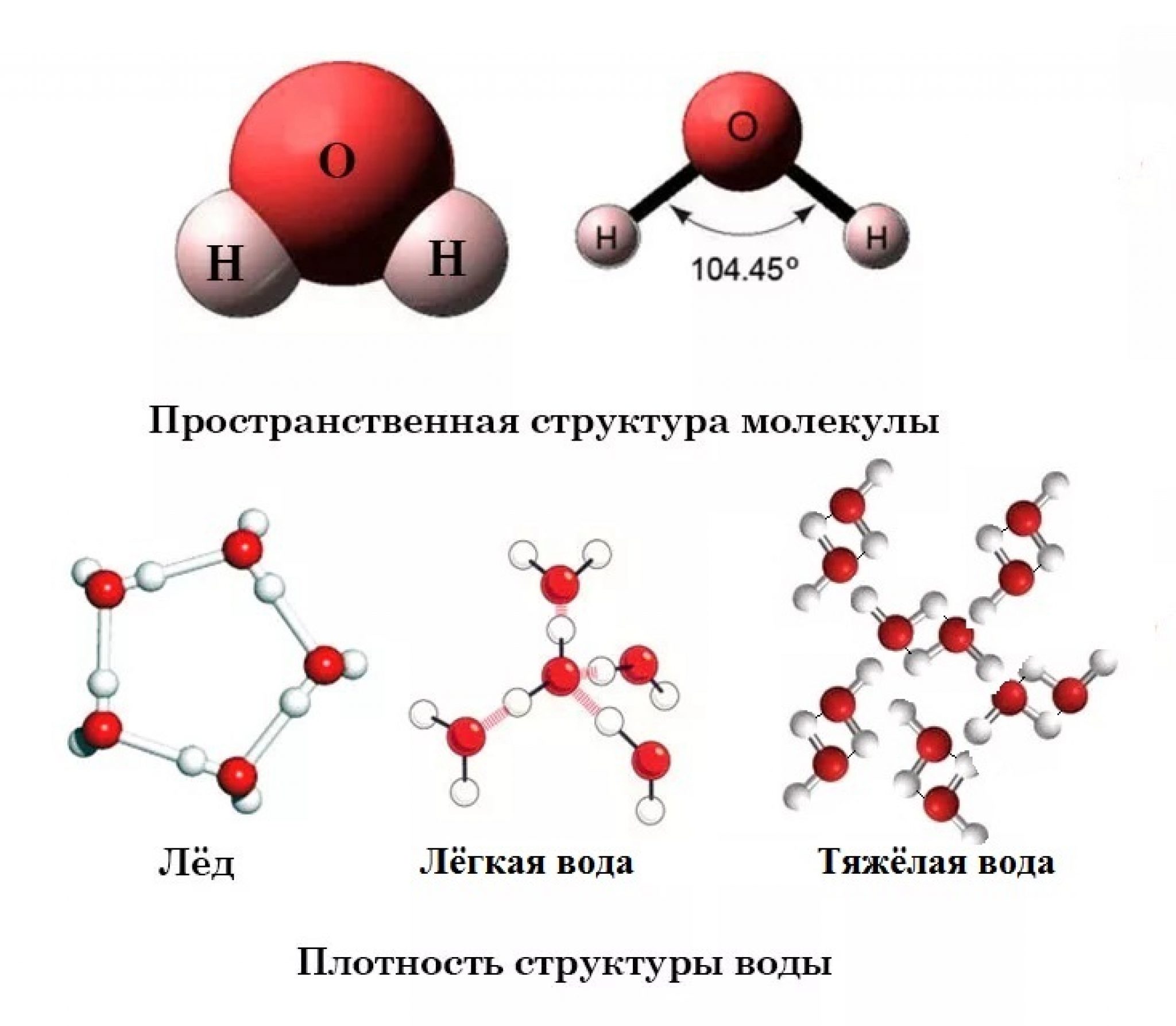 Молекула воды и льда. Химическая формула тяжелой воды. Структура молекулы воды. Молекула тяжелой воды. Тяжелая вода.