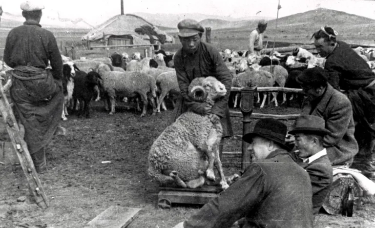       По оценкам специалистов, за годы войны Монголия поставила в СССР больше шерсти и мяса, чем США по ленд-лизу. Фото https://vk.com.