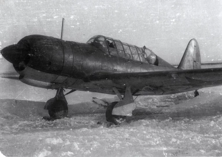       Многоцелевой самолет Су-2. Источник фото: https://waralbum.ru/