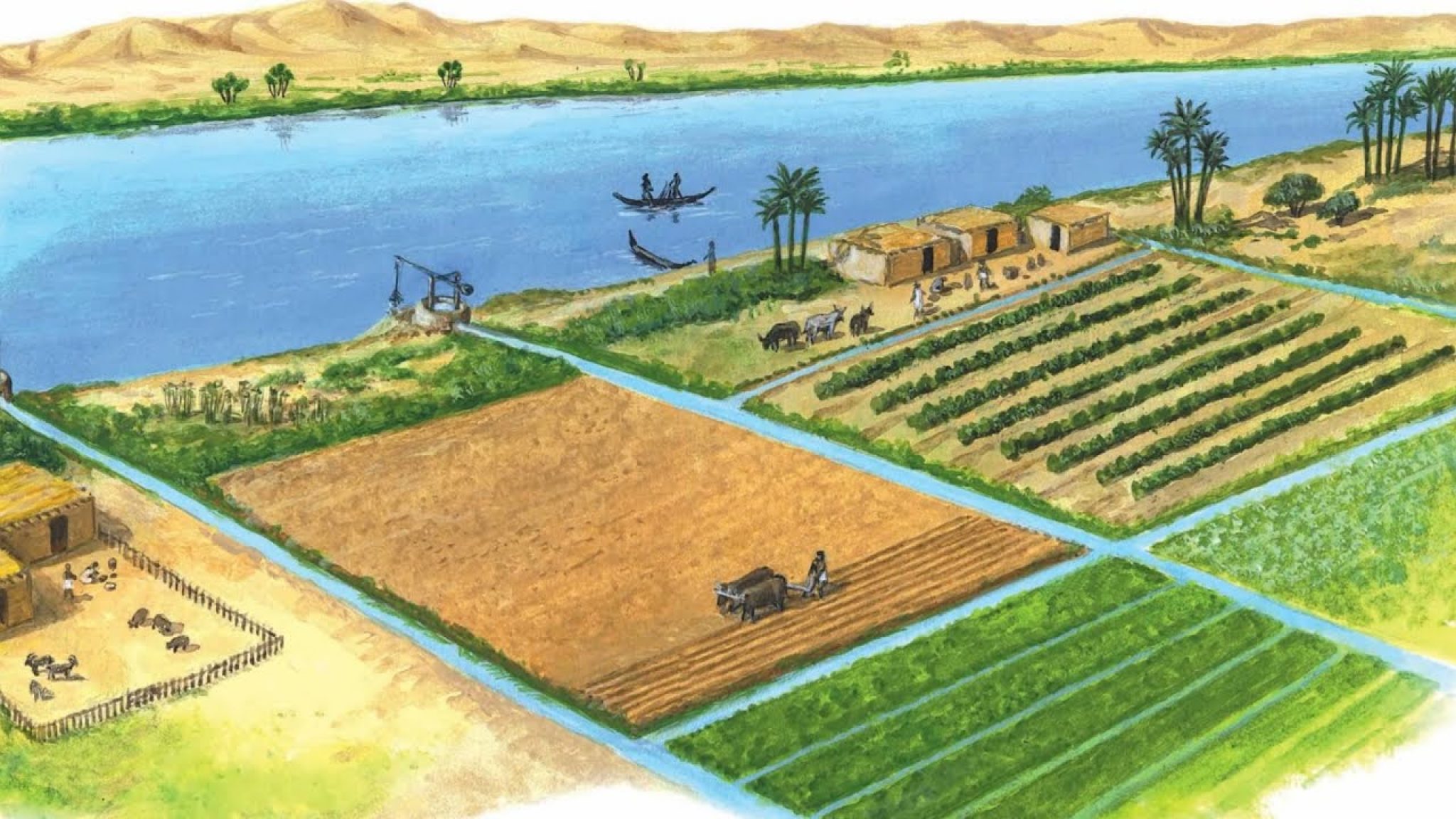 Ирригация в древнем Египте
