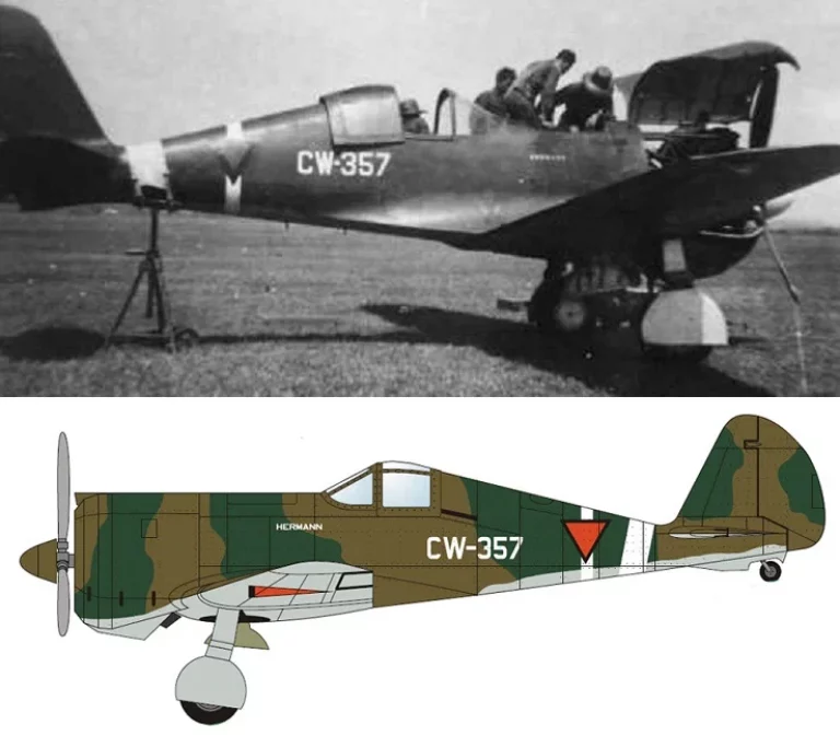       CW-21B - редкая, причем сравнительно удачная, реализация концепции легкого перехватчика, созданного в инициативном порядке. В историографии современники самолет называют "Interceptor" - Перехватчик. Имя собственное "Demon" - уже послевоенное творчество.