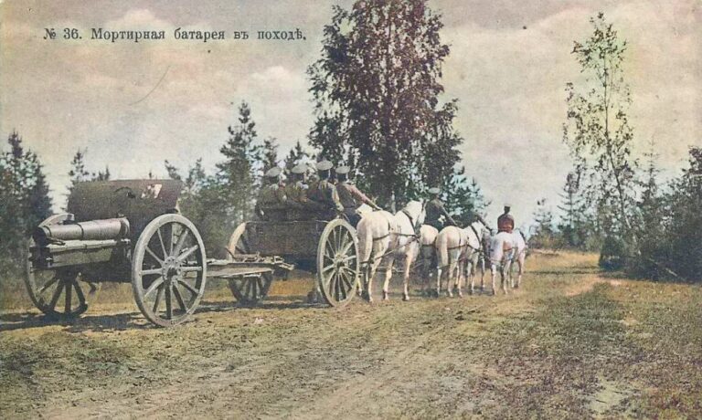 Для транспортировки орудия с передком требовалось шесть лошадей.