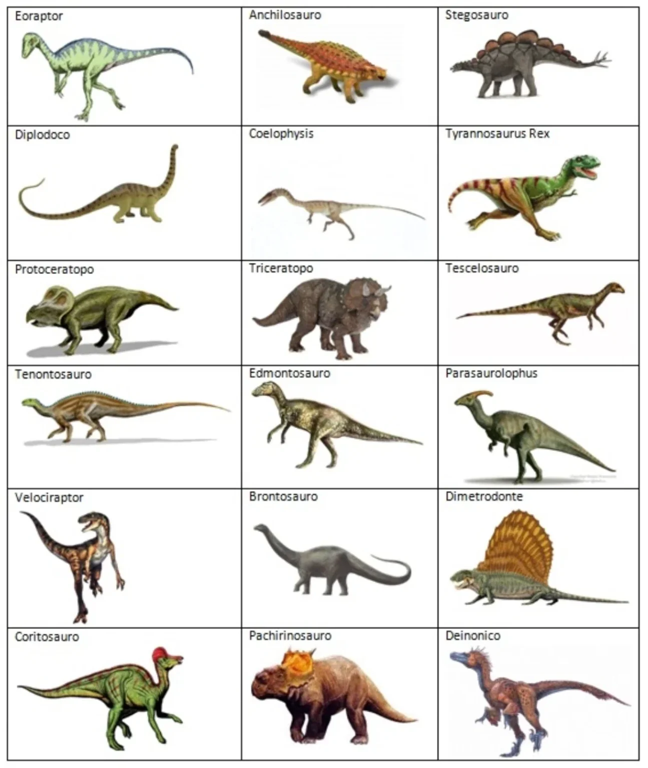 Динозавры Виды Картинки