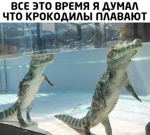 1685208841508.png