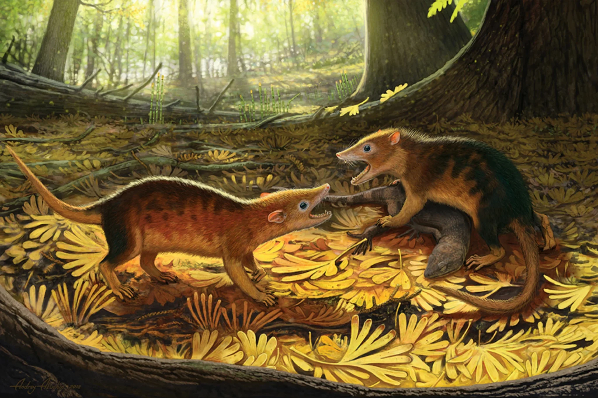 Появление динозавров эра. Плацентарные млекопитающие мезозоя. Эра мезозой сумчатые. Цинодонты мезозоя. Атучин Триас.