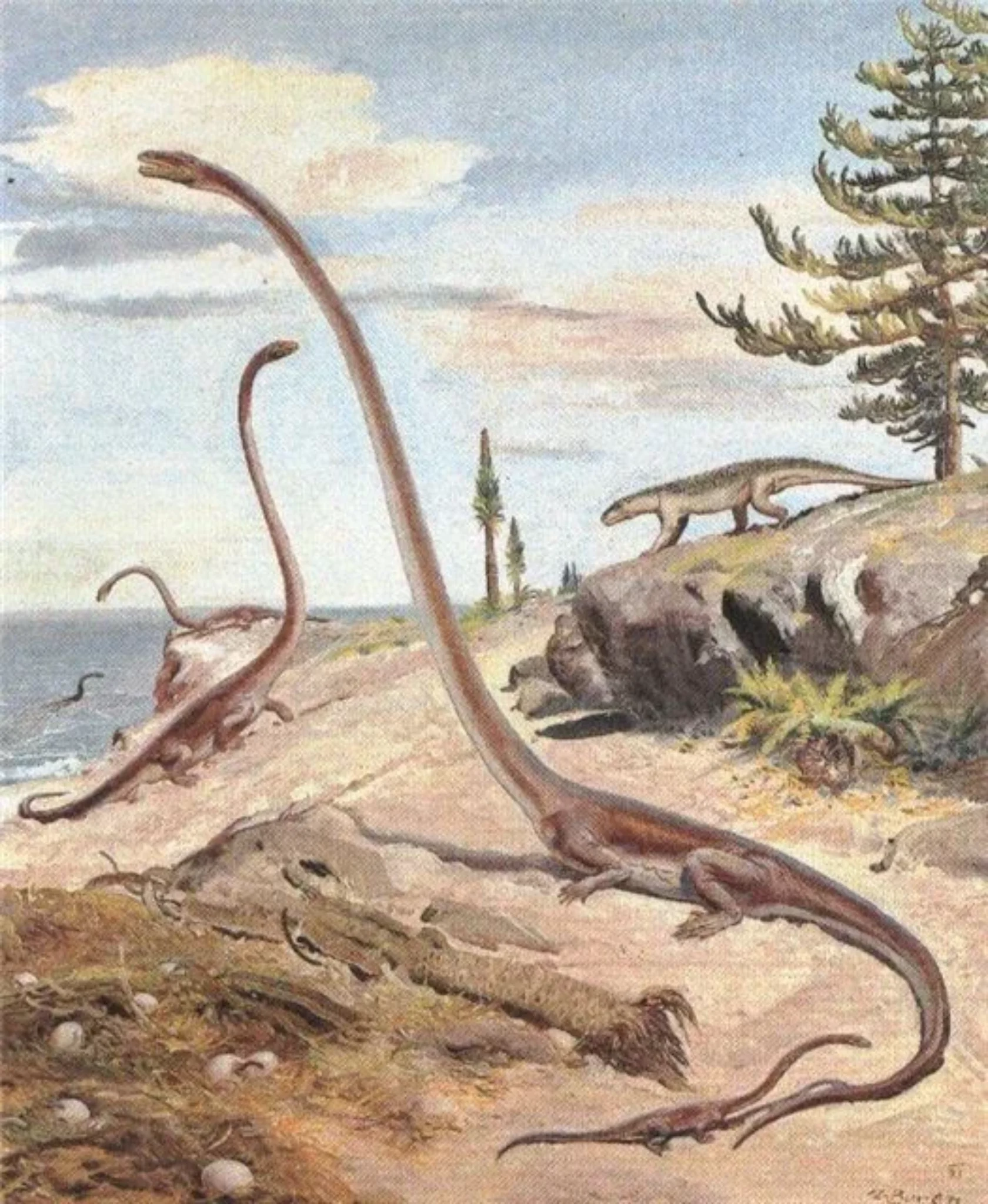 Динозавры жили миллионов лет назад. Зденек Буриан Триас. Танистрофей Триасового периода. Триасовый период Зденек Буриан. Мезозавр Зденек Буриан.