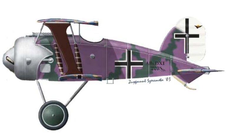 схема окраски второго прототипа опытного истребителя Albatros D.XI