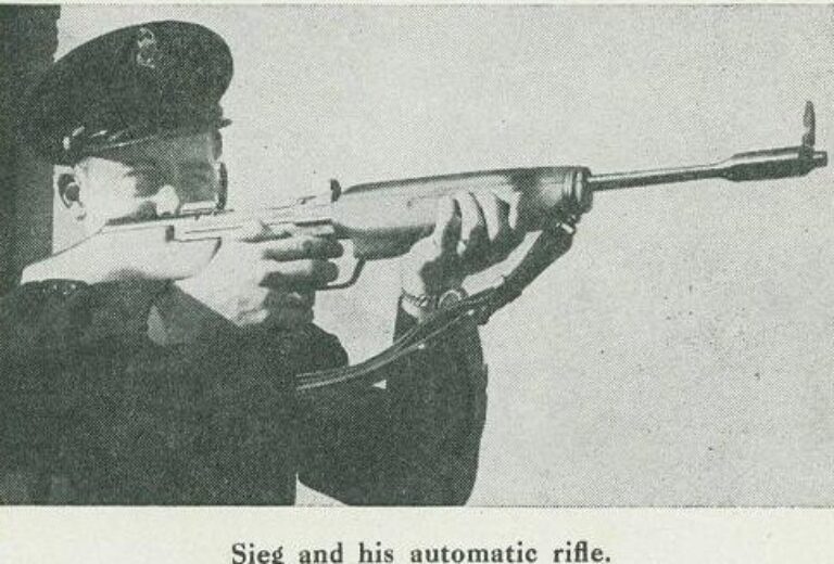 Зиг и его автоматическая винтовка