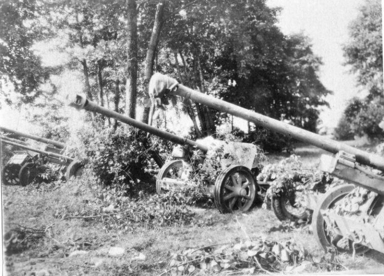 Немецкие противотанковые пушки, захваченные Советскими войсками в ходе боев за освобождение Белоруссии