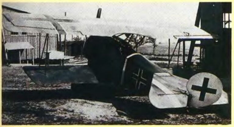 один из нескольких «раскрашенных» истребителей Fokker D.VI. Показанная на снимке машина принадлежала старшему лейтенанту Максу Шпайделю (Oblt. Max Speidel) из состава эскадрильи Jasta 80b, август 1918 года