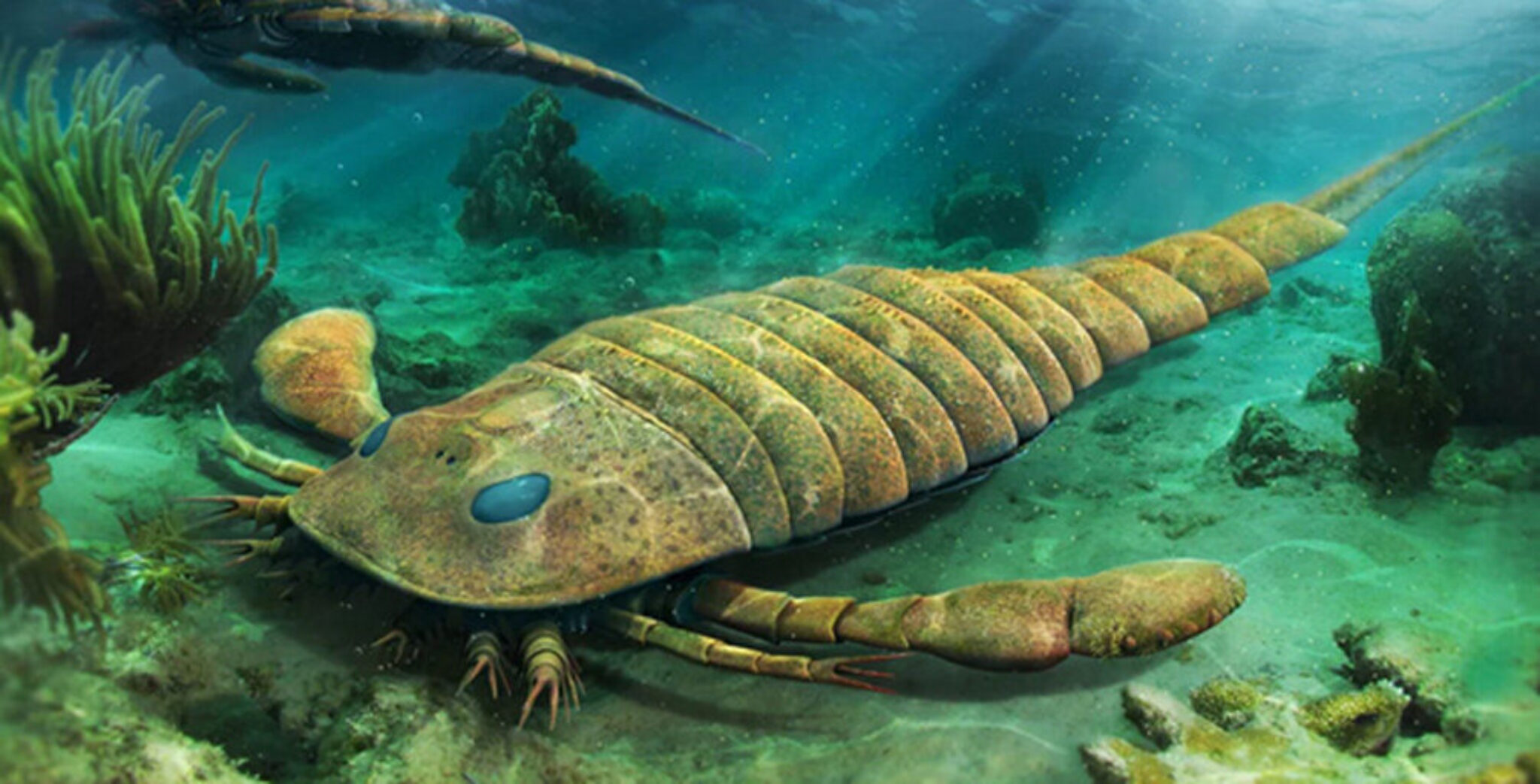 Большая корифена. Ракоскорпион силурийского периода. Загрязнение океана. Протерозой ордовик. Палеозойская эра ордовик.