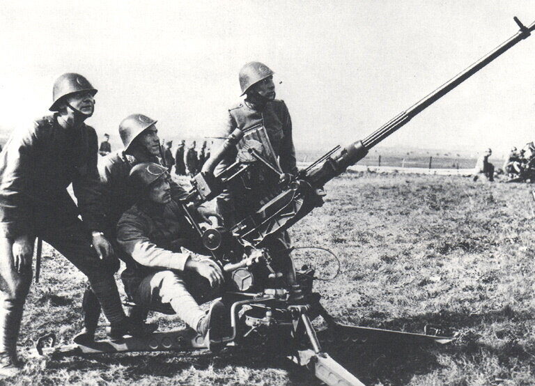 Зенитное орудие Stuk van 2 tl. Калибр — 20 мм, масса снаряда — 0,24 кг, скорострельность — 180 выстр./мин, досягаемость по высоте — 1800 м, но эффективно огонь можно было вести лишь на 1300 м.