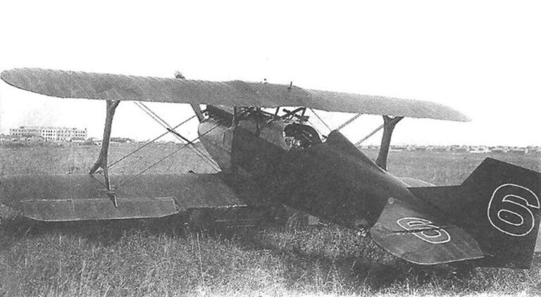 Серийный истребитель И-2бис из 19-й эскадрильи 15-й авиабригады Западного особого военного округа – сентябрь 1929 г.