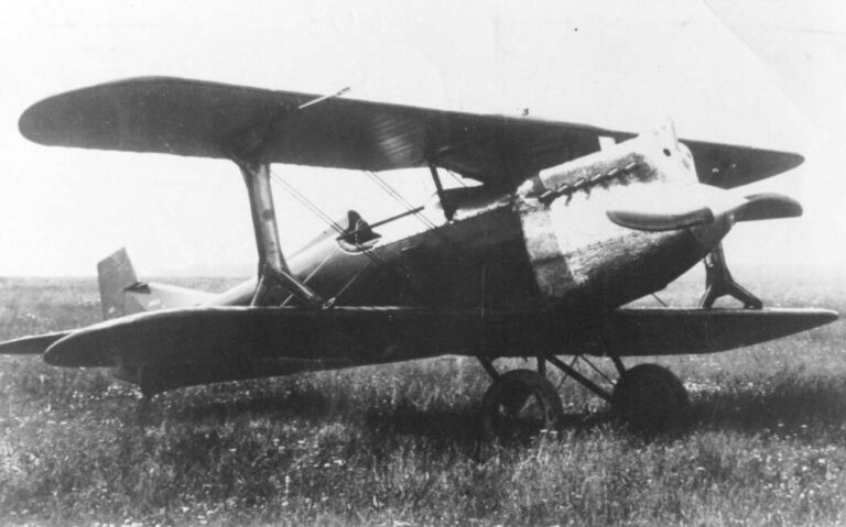 Истребители И-2бис в конце 1920-х гг. поступили на вооружение строевых эскадрилий Московского, Ленинградского и Западного военных округов