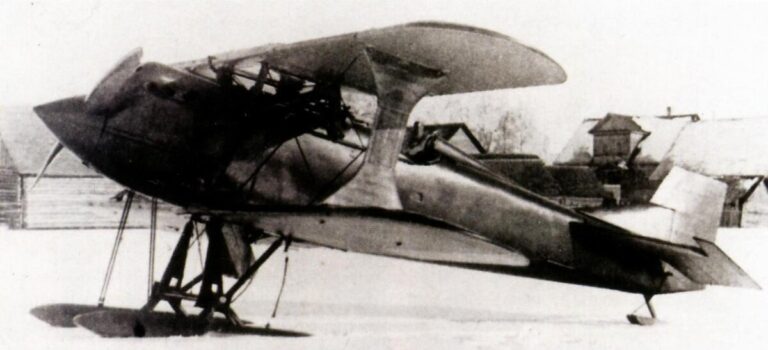 Самолет И-2 конструкции Д.П. Григоровича – первый истребитель отечественной разработки, который пошел в серийное производство и первый, на который был получен зарубежный заказ