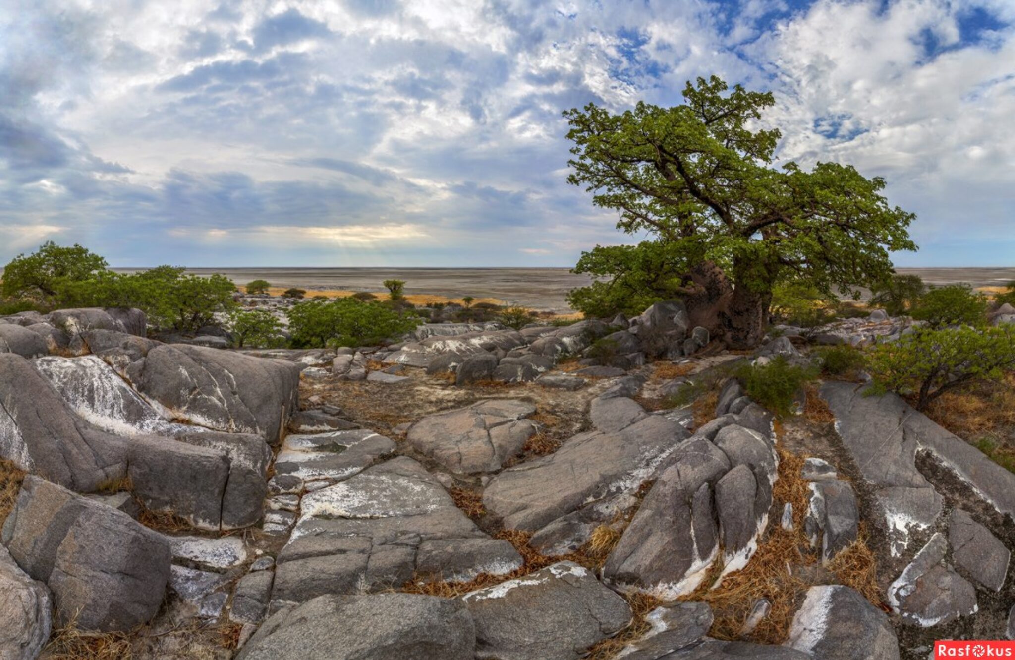 История острова рос. Остров затерянных баобабов (Kubu Island). Макгадикгади озеро. Остров Кубу Ботсвана. Ботсвана камень.