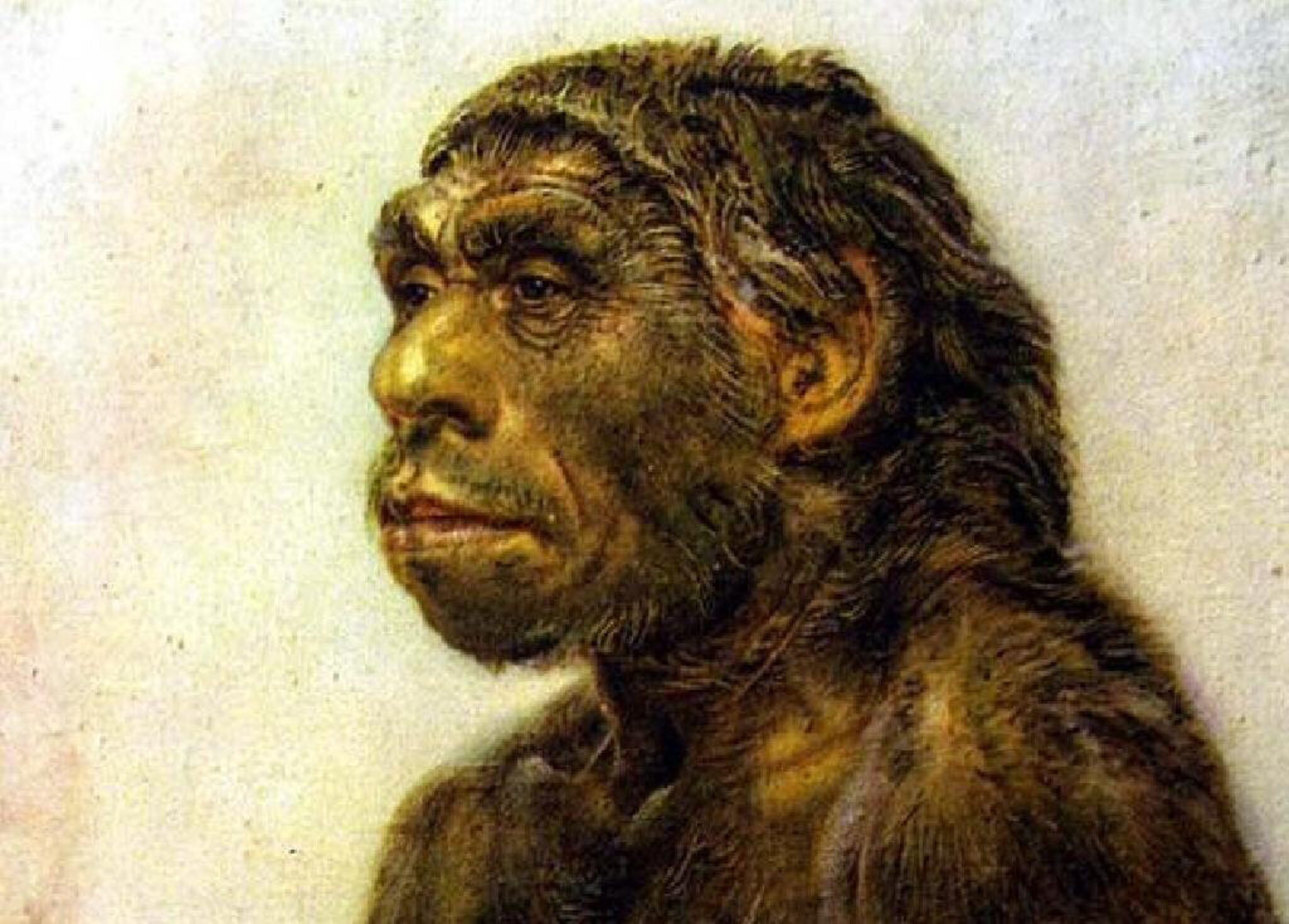 Включи древности. Палеоантропы неандертальцы. Древние люди Палеоантропы. Питекантроп Герасимов. Первобытные люди неандертальцы.