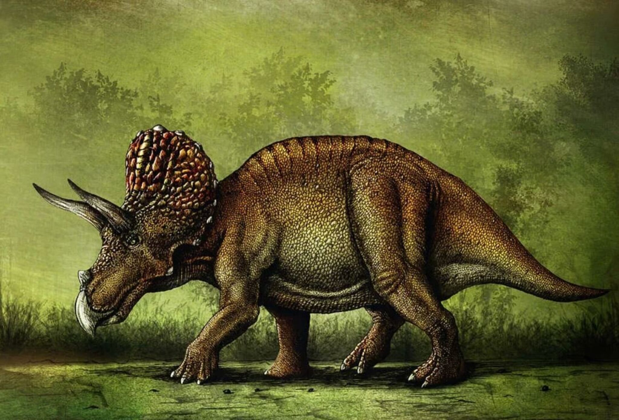 Цератопсы. Динозавр Трицератопс. Трицератопс и Анкилозавр. Растительноядные динозавры. Рогатый динозавр.