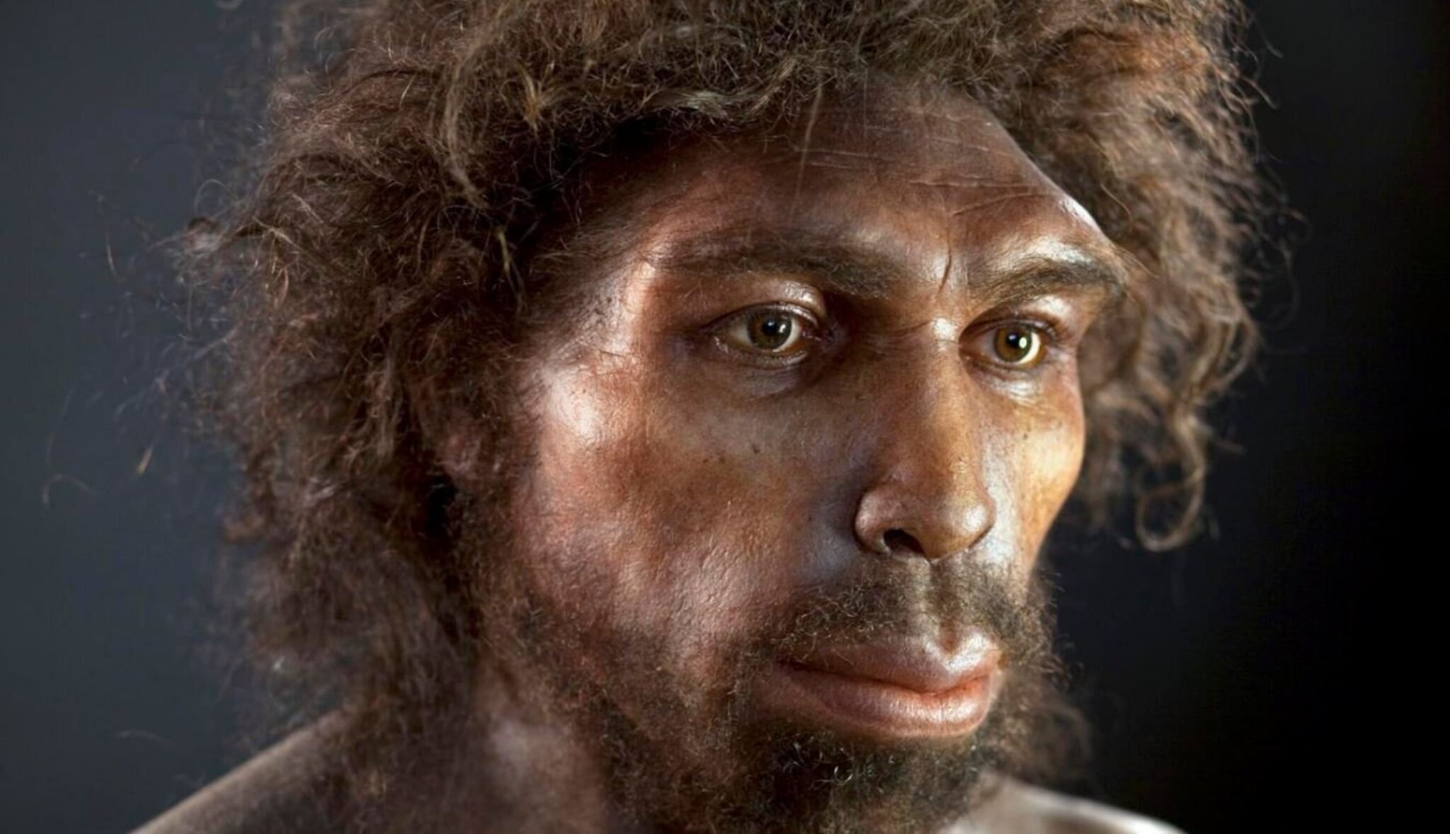 100.000 лет. Хомо хейдельбергенсис. Гельдельберийский человек. Неандерталец (homo Neanderthalensis).