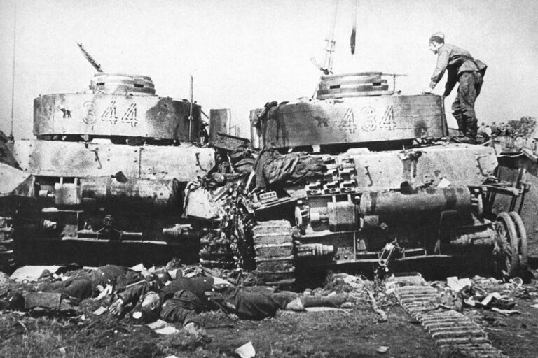 Подбитые танки 20-й дивизии вермахта около Бобруйска (1944 год)