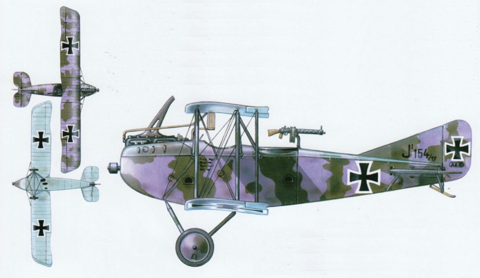 штурмовики AEG J.I и AEG J.II (на рисунке представлен штурмовик AEG J.I с первоначальным коротким фюзеляжем) поставлялись с камуфляжем, состоящим из полей светло-серо-фиолетового и темно-серо-зеленого цветов на верхней и боковых поверхностях. Нижние поверхности были светло-зеленовато-бледно-голубого цвета. Часто дугообразная нижняя поверхность передней оконечности фюзеляжа окрашивалась в цвета верхней и боковых поверхностей. У большинства штурмовиков AEG J.I черные кресты на нижней поверхности имели нестандартную белую окантовку. На самолеты помимо опознавательных знаком наносились военный номер и техническая информация. Индивидуальных эмблем самолеты обычно не имели