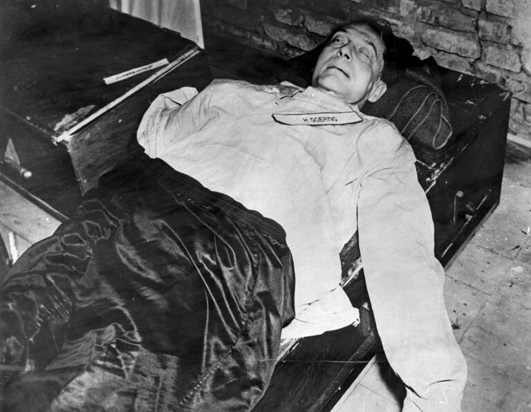 Der Fehlstart. Если бы нацисты пришли к власти раньше Часть первая : знамёна ввысь