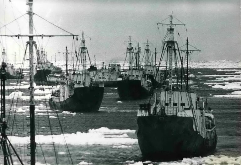 Флотилия "Слава" у берегов Антарктиды