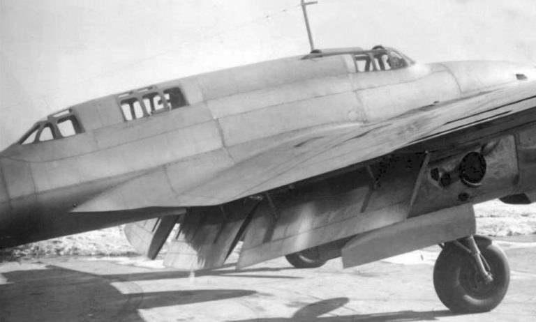 Центроплан ВИ-100 (посадочные щитки опущены)
