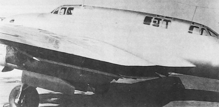 Центроплан ВИ-100 (посадочные щитки подняты)