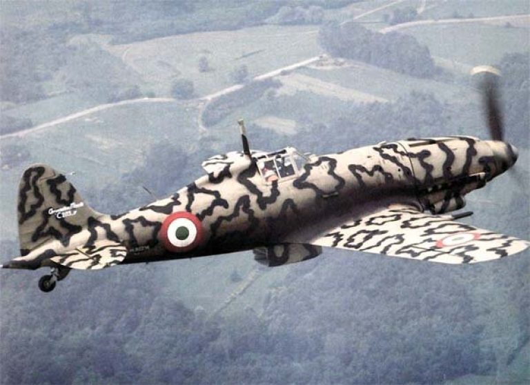 MС. 205V Veltro с опознавательными знаками Aviazione Cobelligerante - частей итальянских ВВС сражавшихся на стороне союзников