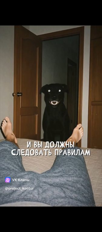 Симулякр Собака