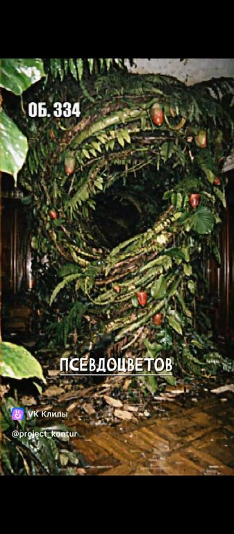 Псевдоцветы