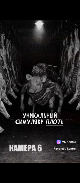 Плоть