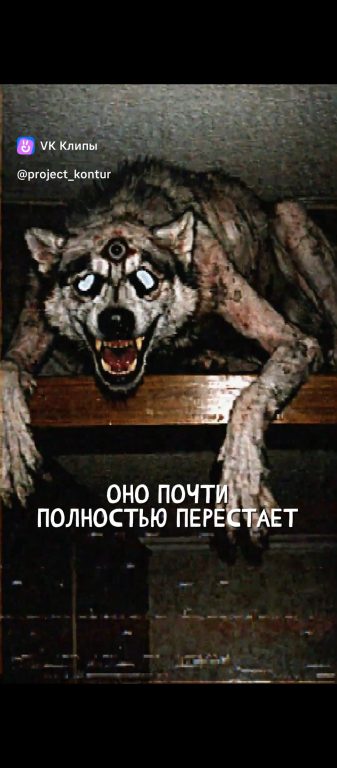 Зараженная Собака