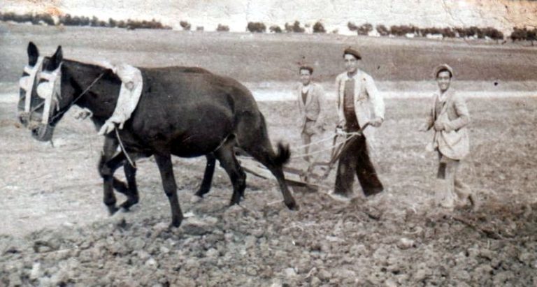 Испания, 1950-е.