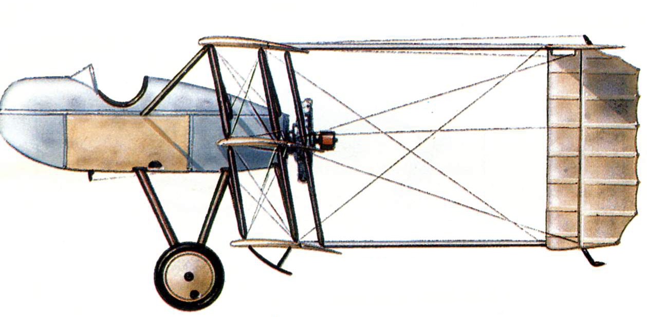 прототип британского перехватчика дирижаблей Blackburn Triplane оставался в цветах неокрашенных материалов, покрытых бесцветным аэролаком. Только покрытые листовым металлом задняя часть фюзеляжной гондолы и трубчатые перемычки хвостовых балок были выкрашены в серый цвет. Самолет не нес опознавательных знаков, серийного номера или других надписей или обозначений