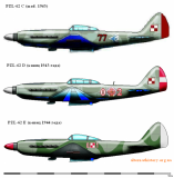 Альтернативные польские истребители или убийцы мессеров.