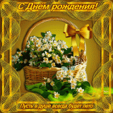 День рождения Ansar02