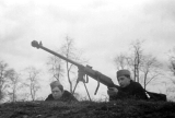Противотанковая винтовка Шолохова обр. 1939 г.