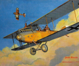 Воздушные рабочие первой мировой. Самолеты-разведчики Albatros C.X. Германия