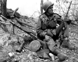 Американский опыт войны в Корее. Эффективность карабина М1 в Корейской войне